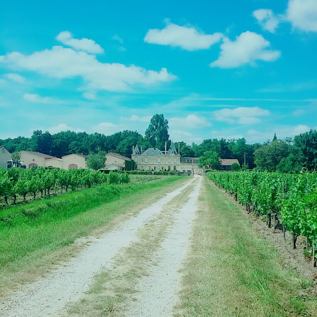 Chateau Meyre Авансан Экстерьер фото